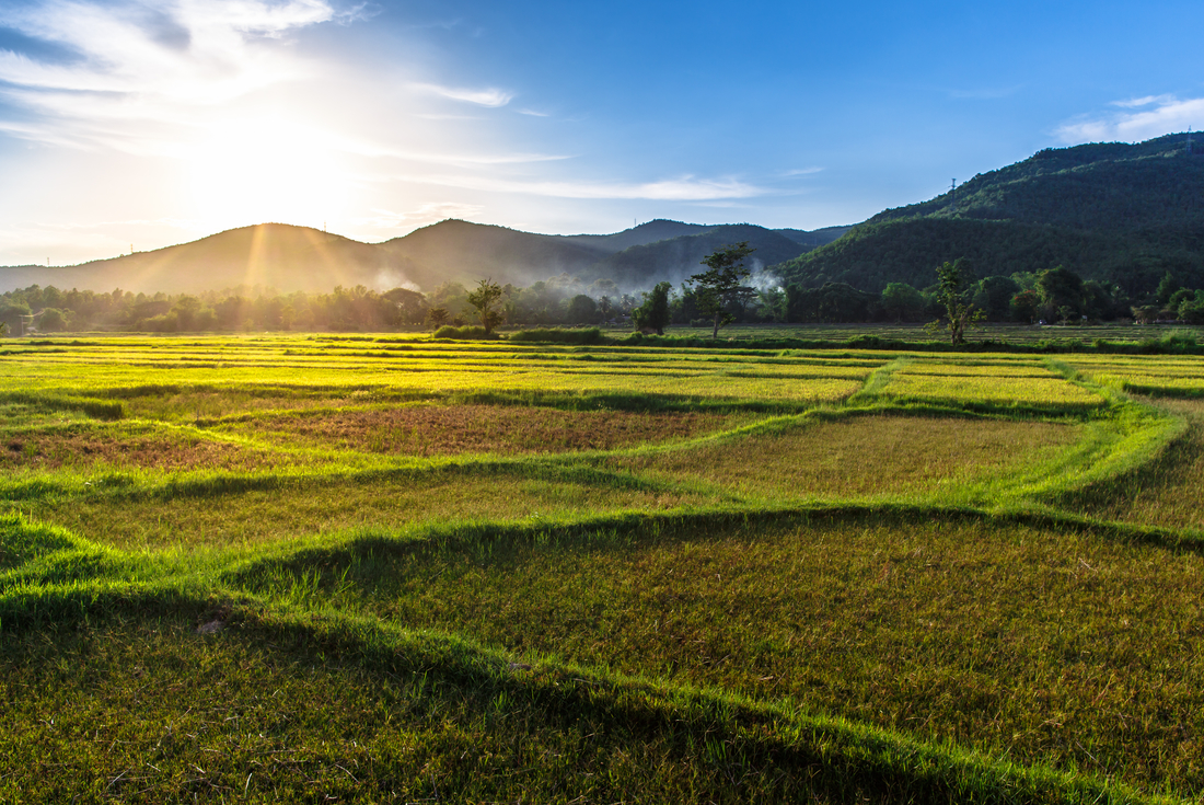 8-Day Explore Northern Thailand Tour from Bangkok: Sukhothai and Chiang Mai | Small Group Tour